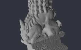 经典石狮子 后视图