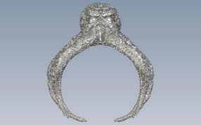 章鱼戒指设计正视图