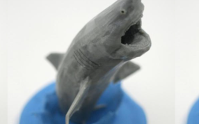 飞行白鲨模型图