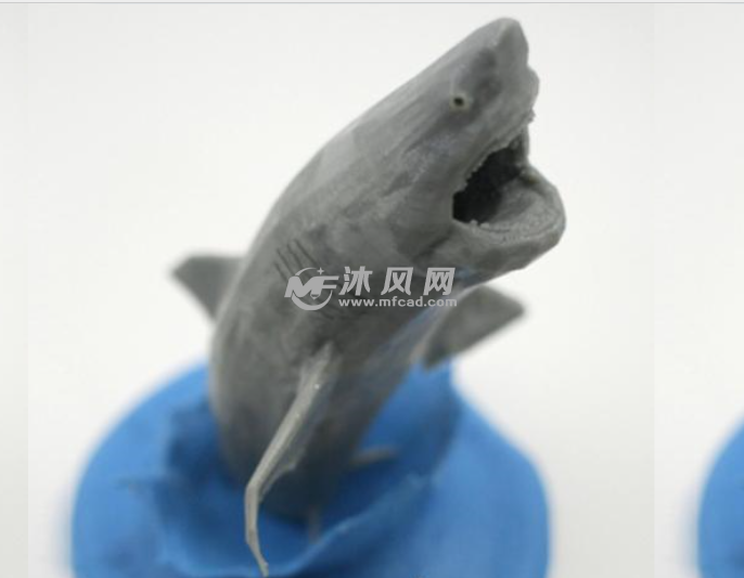 飞行白鲨模型图
