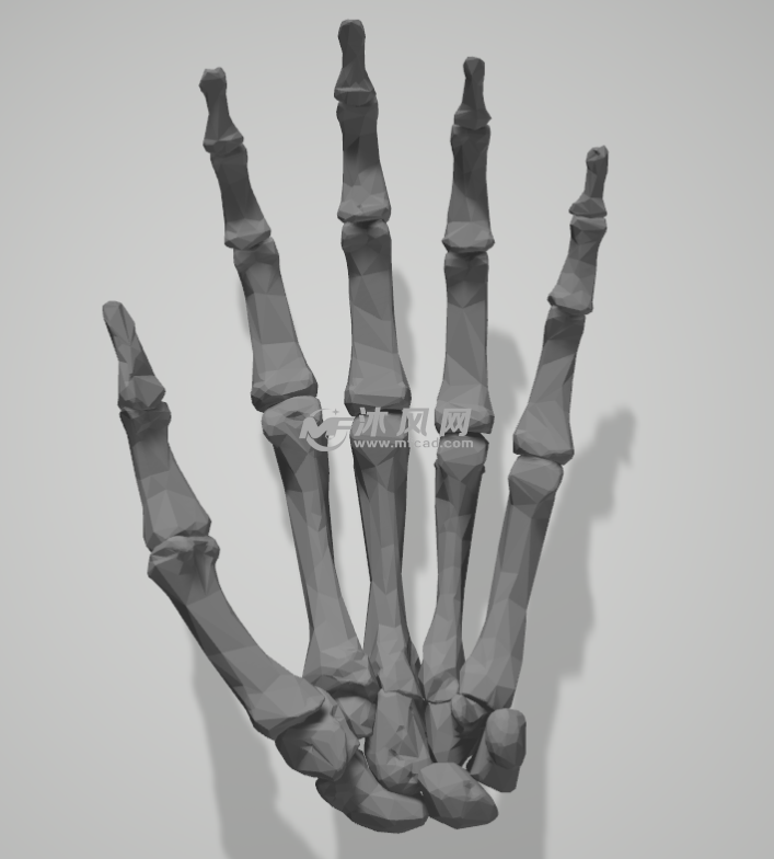 左手骨骼俯视图