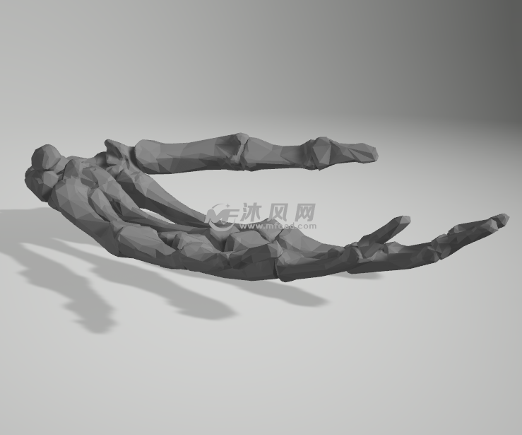 左手骨骼侧视图