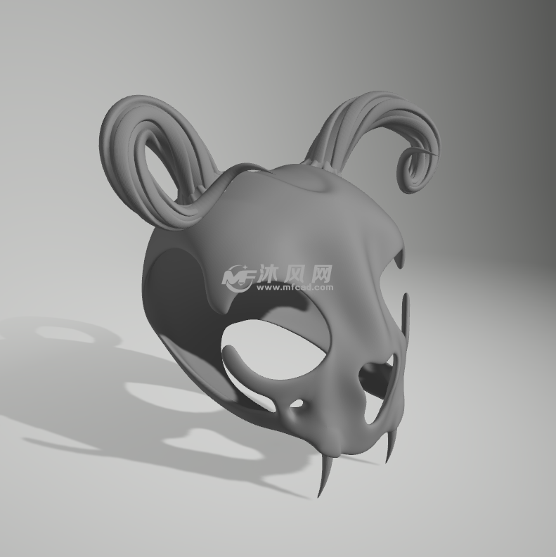 动物头骨轴测图