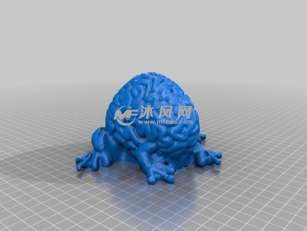 青蛙的大脑渲染