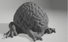 青蛙的大脑模型图