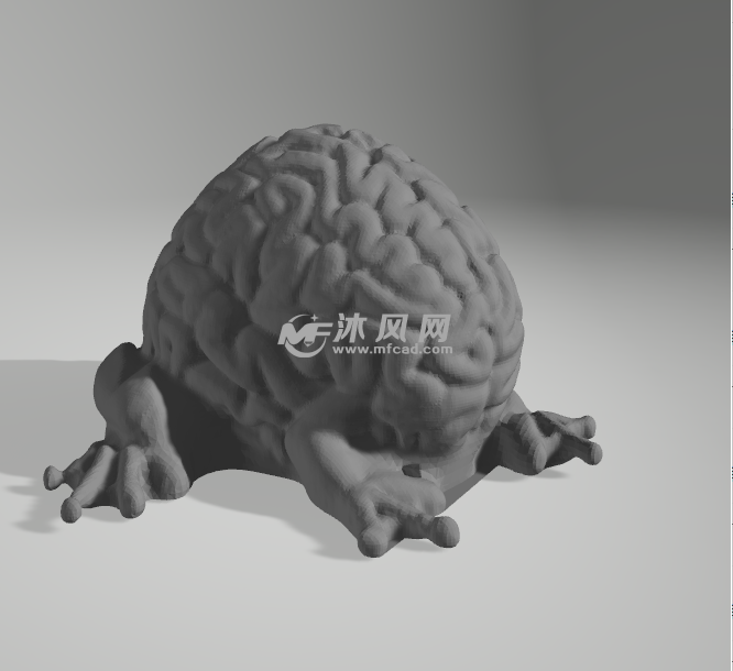 青蛙的大脑模型图