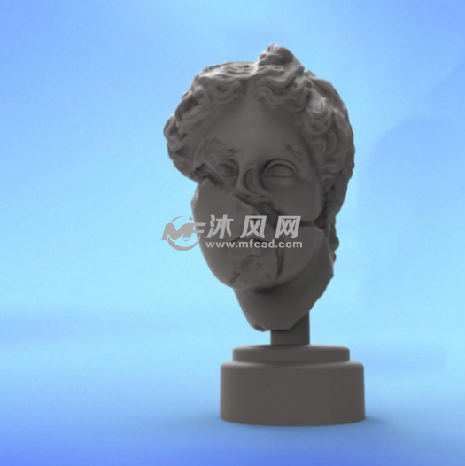 阿波罗头像外观图