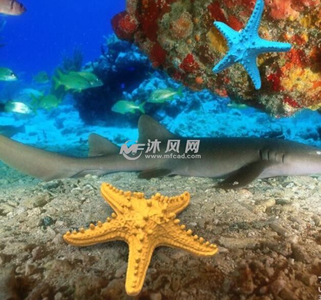 海星效果图