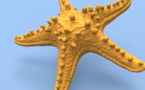 海星模型