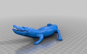 鳄鱼模型