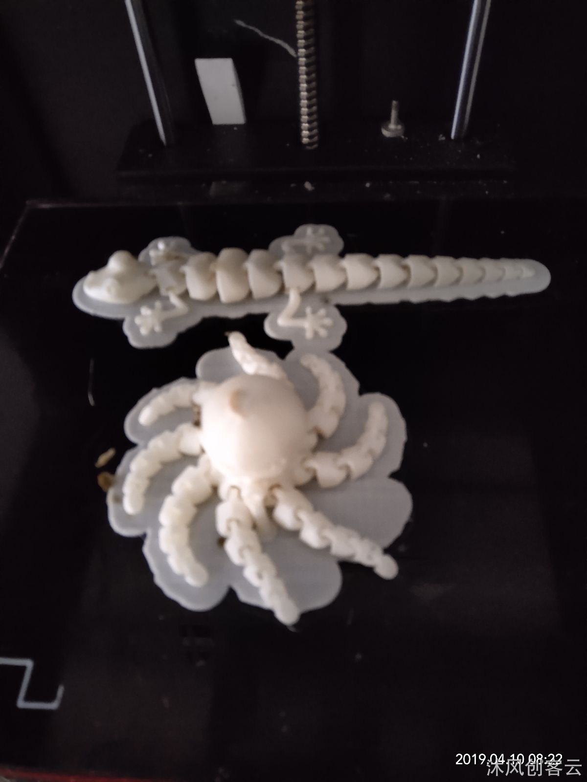 可运动的章鱼模型-3D打印成品-沐风创客云平台