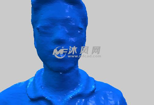 男子的面部视图