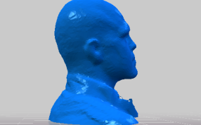 人像头部左视图