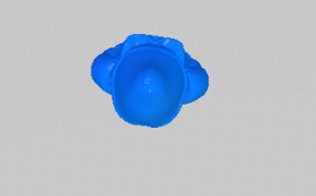 胡子爷爷俯视图