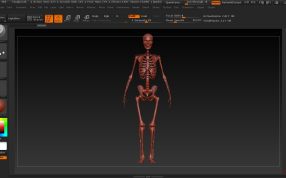3DMAX 软件显示模型