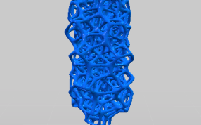 环状模型侧视图