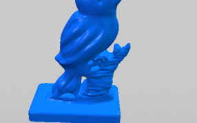 白灵鸟的侧视图