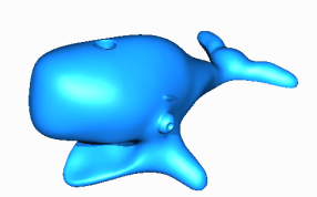 蓝鲸的身体部位