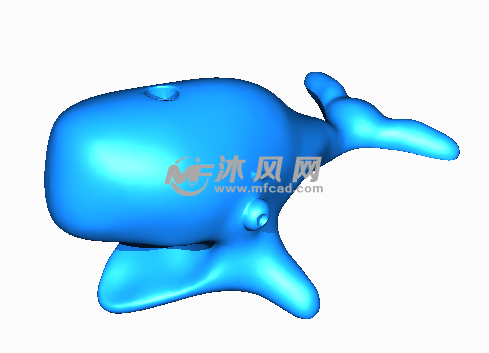 蓝鲸的身体部位