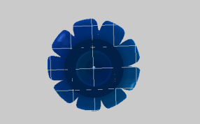 花瓣的底部视图