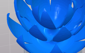 花瓣的内部结构