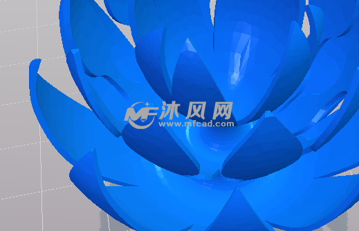 花瓣的内部结构