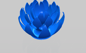 莲花的花瓣模型