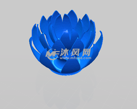 莲花的花瓣模型