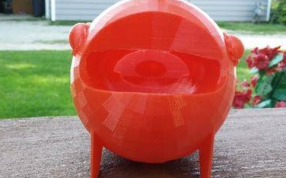 泡泡鱼的正视图