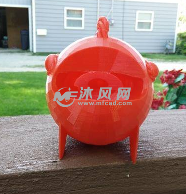 泡泡鱼的正视图