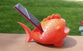 泡泡鱼的实物图