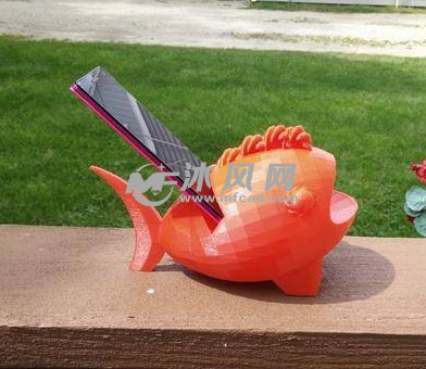 泡泡鱼的实物图