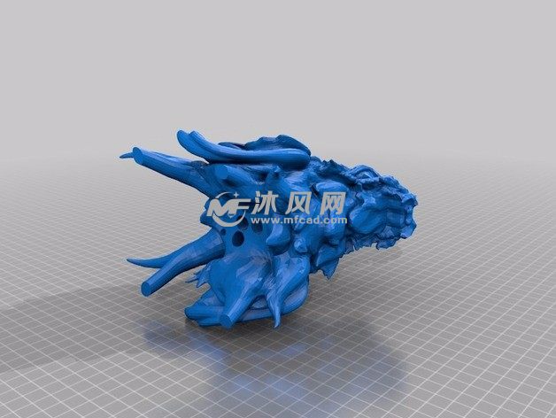 龙头的后视图模型