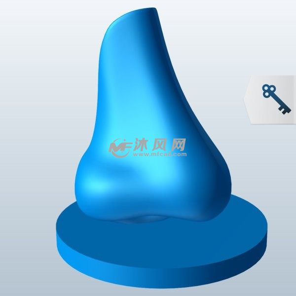 鼻子打印模型