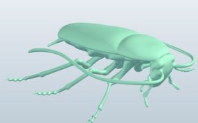蟑螂打印模型