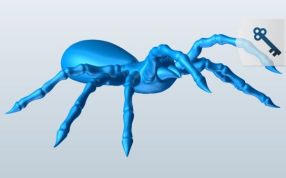 防御姿态的蜘蛛