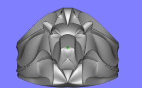 狮子头正面视图